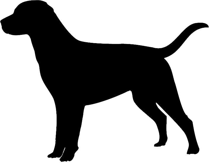 Chiens