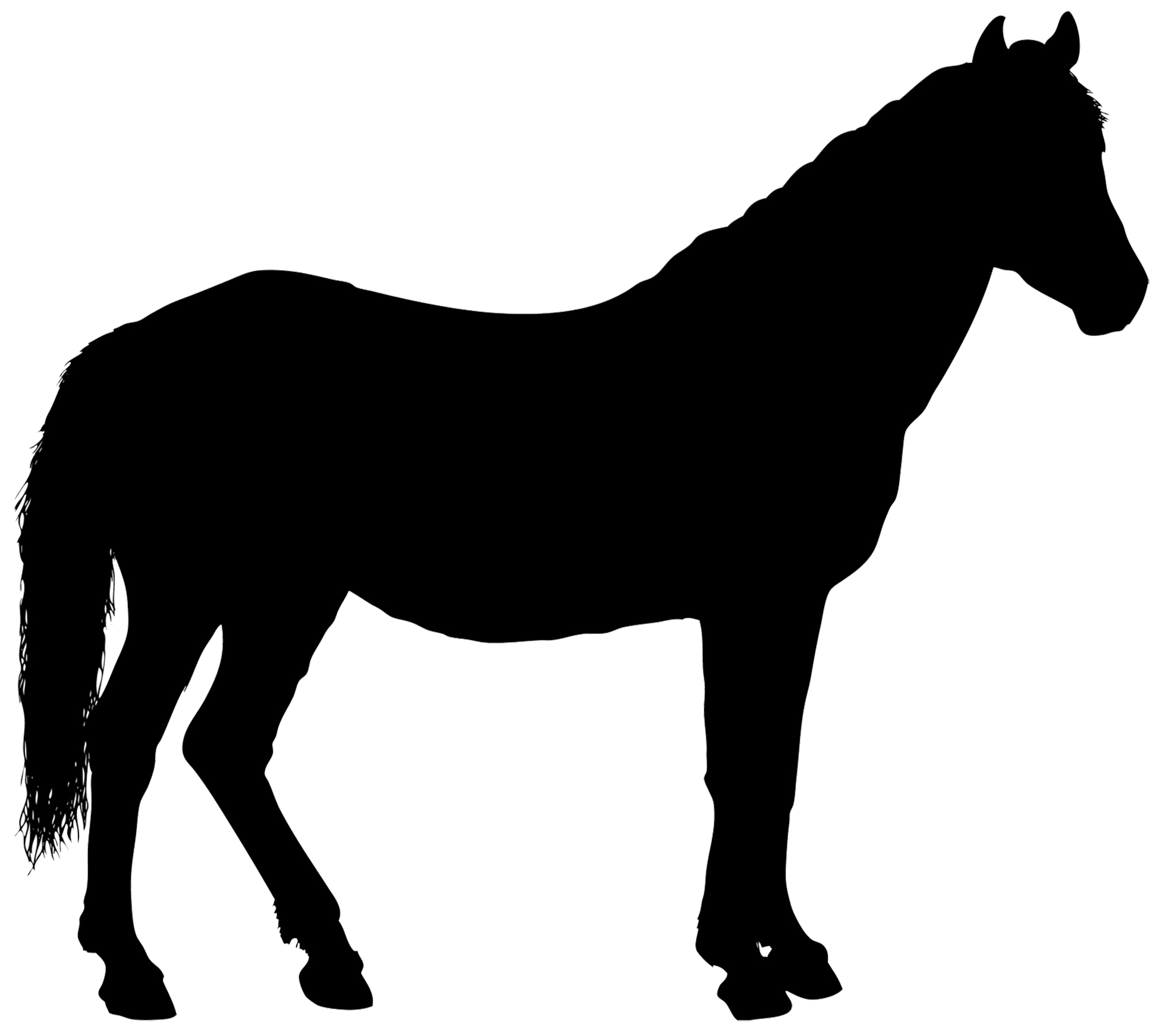 Chevaux