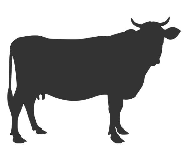 Animaux de rente